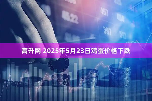 高升网 2025年5月23日鸡蛋价格下跌