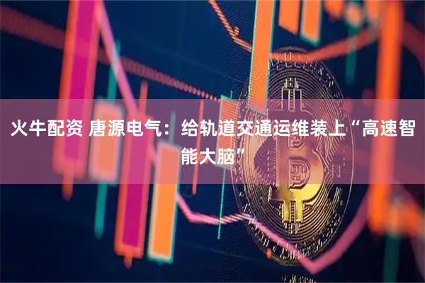 火牛配资 唐源电气：给轨道交通运维装上“高速智能大脑”